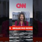 This Solana NFT chart woke up #Solana #SOL #NFT