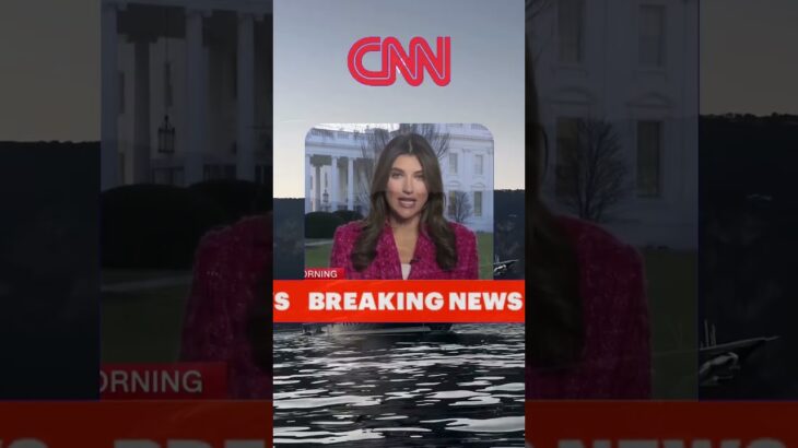 This Solana NFT chart woke up #Solana #SOL #NFT