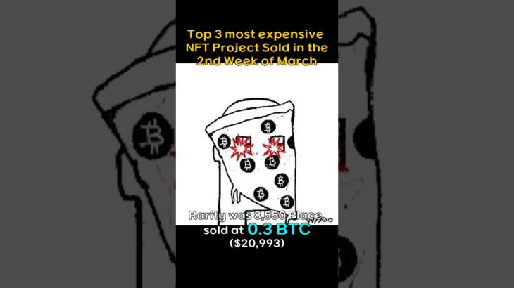 Top 3 most expensive NFT Project sold in the 2nd week of March #BAYC, #CRYPTOPUNKS, #AZUKI