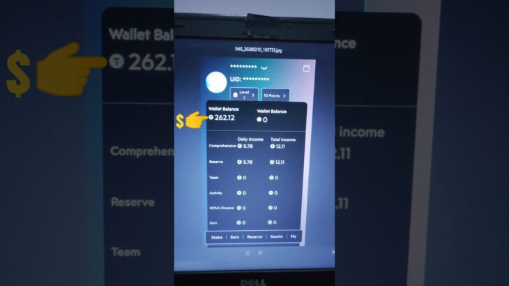 Treasure-nft ❌ Nowanft ✅ Se mazboti dekh rahe ho #shortfeed