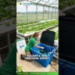 Trik Menjaga Aliran Air NFT