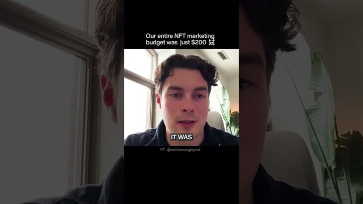 We Built a Multi-Million Dollar NFT Project With $200 #crypto #nft #ustrade #shorts