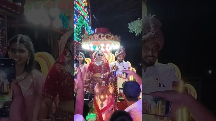 #hit #nft #youtubeshort #videos #chaudhari -official50