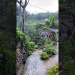 #hit #song #hindi #movie #nft #chaudhari -official50