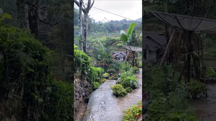 #hit #song #hindi #movie #nft #chaudhari -official50