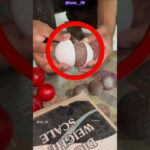 लेदर ki ball फैक्ट्री में kaise बनती है ❓😱#shortsfeed #nft