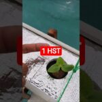 melon inthanon 1 HST. #melon #meloninthanon #nft