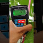 melon inthanon 40 HST. #melon #meloninthanon #nft