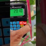 melon inthanon 45 HST. #melon #meloninthanon #nft