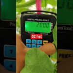 melon inthanon 52 HST. #melon #meloninthanon #nft