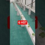 melon inthanon 6 HST. #melon #meloninthanon #nft