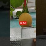 melon inthanon 60 HST. #melon #meloninthanon #nft
