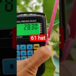 melon inthanon 61 HST. #melon #meloninthanon #nft