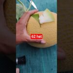 melon inthanon 62 HST. #melon #meloninthanon #nft