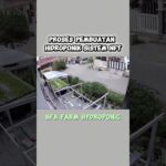 proses pembuatan hodroponik sistem nft #hidroponik #hidroponikindonesia #cikarang