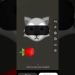 serigala pun bucin👀🗿 #funny #edit #nft #scary #memes