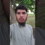 #shorts #trending #fyp #foryou #viralvideo #quran #tilawat #nft #treasurenft #earn