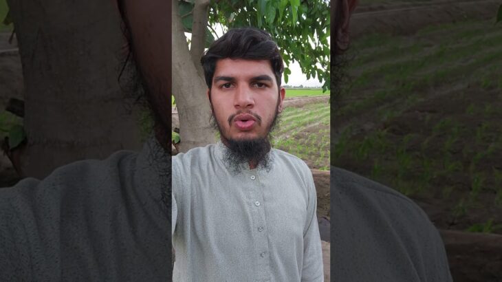 #shorts #trending #fyp #foryou #viralvideo #quran #tilawat #nft #treasurenft #earn