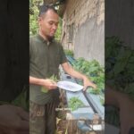 tanam pohpohan dengan sistem hudroponik NFT.