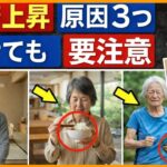 【テレビでは深く語られない】糖尿病になる人に共通する３つのタイプ。静かに進む前兆を見逃さないで【医師解説】【糖尿病予防】【血糖値改善】【生活習慣】