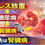 ストレスから血糖値の上昇 → 糖尿病 → 腎臓病