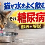 猫が水をよく飲む…それ糖尿病かも？獣医が解説