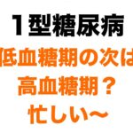 【１型糖尿病】血糖値が高めの最近と、ビュッフェランチの話
