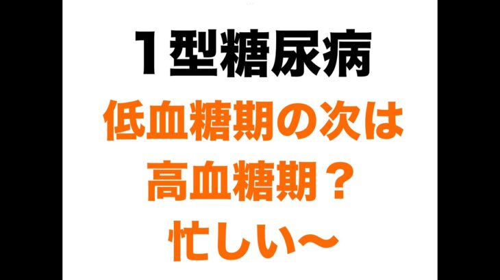 【１型糖尿病】血糖値が高めの最近と、ビュッフェランチの話