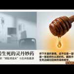 倪海厦：西医骗了你多久？糖尿病戒糖竟是慢性自杀！这口“黄金水”，才是逆转肾衰竭的救命稻草！#真假蜂蜜 #养肾 #护肾 #夜尿 #中医养生 #养生误区 #中老年健康 #饮食搭配#生活调理#倪海廈