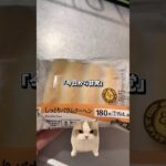 【猫ミーム】糖尿病予備軍 #スイーツ #コンビニ #セブンイレブン