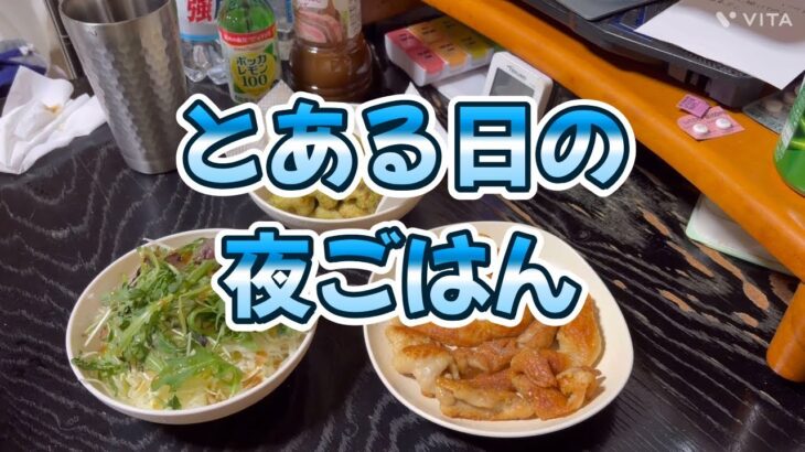 【糖尿病 独身 アラフォー】夜ごはん　サラダ／鶏皮のパリパリ焼き／ちくわの磯辺揚げ／鶏油チキンラーメン