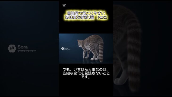 吐く・痩せる・元気がない高齢猫は要注意｜糖尿病とリンパ腫の話 #シニア猫 #猫