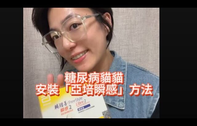 糖尿病貓貓🐈安裝瞬感的方法❤️
