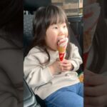 セブンティーンアイスとひなこ #岡山 #ハロヘルラジオ #糖尿病 #ろかすけ