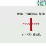 勘違いしないでください。悪い生活習慣だけが糖尿病発症の原因ではありません。