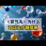 《肾气丸》为什么可以治疗糖尿病？#糖尿病##周国民#,健康养生,中医药