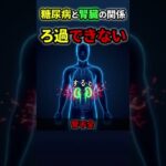 糖尿病で腎臓が壊れる理由