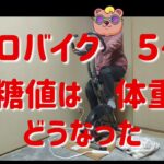 糖尿病になりたくないのでエアロバイクを漕いだ