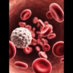 糖尿病ヒストリー　ショート