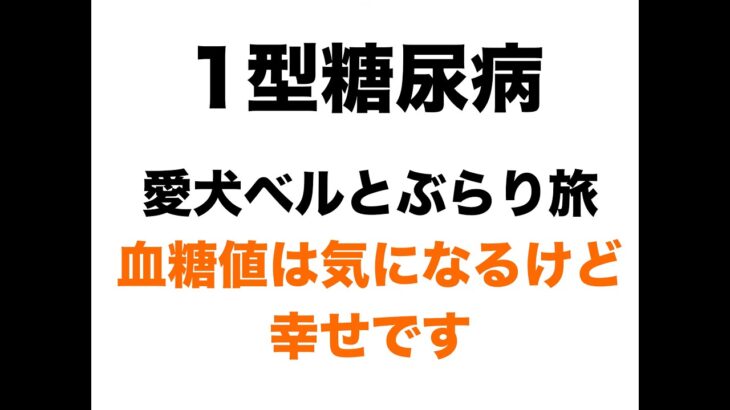 【１型糖尿病】愛犬ベルとぶらり旅　血糖コントロールは必要だけど幸せです