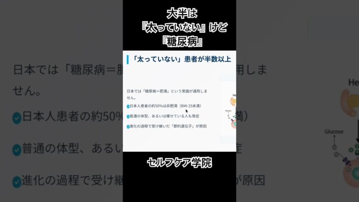 痩せ型糖尿病が多いワケ