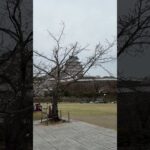 姫路城 #糖尿病 #透析 #姫路市