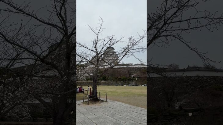 姫路城 #糖尿病 #透析 #姫路市