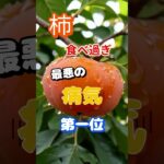 【一位は糖尿病じゃない⁉】柿食べ過ぎ最悪の病気第一位 #健康 #雑学 #高齢者 #知恵 #医学 #ファッション