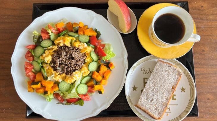【糖尿病の食事】トマト＆ミンチのチョップドサラダ。入院の件、決めました