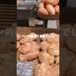 【1型糖尿病】博多旅行一人たび