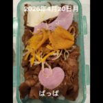 #時短10分#糖尿病弁当#冷凍弁当#お弁当#豚肉玉ねぎの生姜焼き弁当#shorts