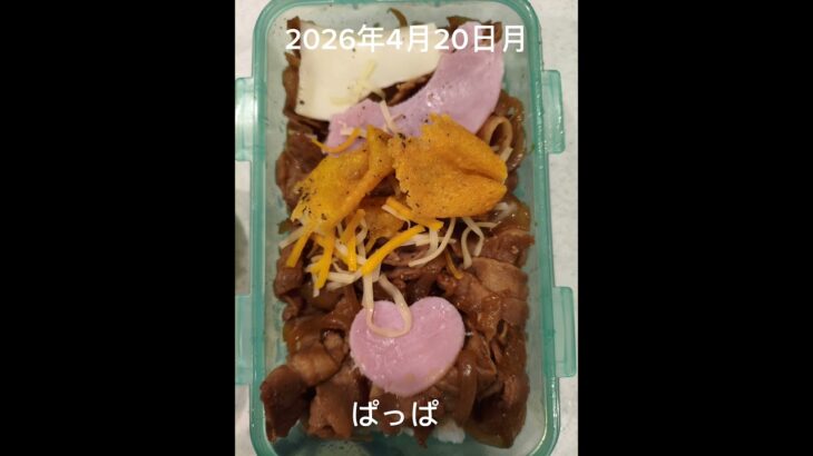 #時短10分#糖尿病弁当#冷凍弁当#お弁当#豚肉玉ねぎの生姜焼き弁当#shorts