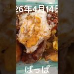 #糖尿病弁当#冷凍弁当#パパ弁当#お弁当#時短10分#野菜炒めとハンバーグ弁当#shorts