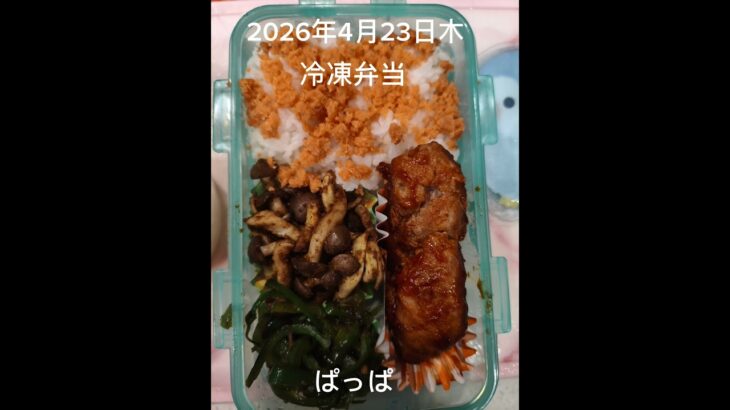 #時短10分#糖尿病弁当#冷凍弁当#お弁当#パパ弁当#ハンバーグ弁当#shorts